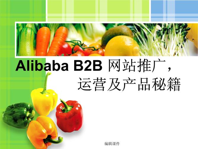 alibaba-b2b-网站推广-运营及产品秘籍